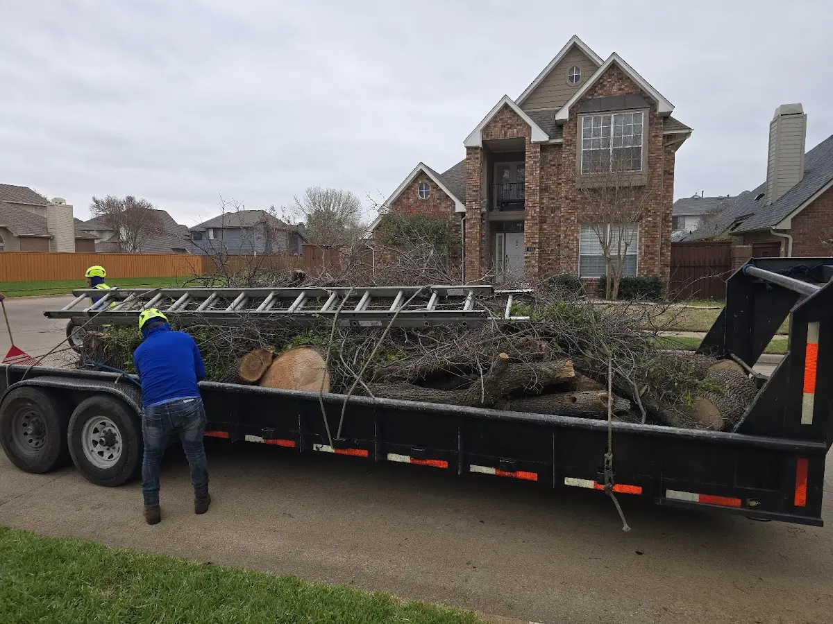 Expert Tree Fertilization with proper safety equipment in Owens Cross Roads